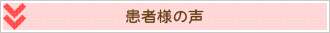 qa_bt_voice