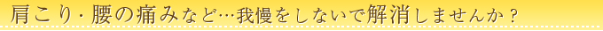 shugi_midashi01